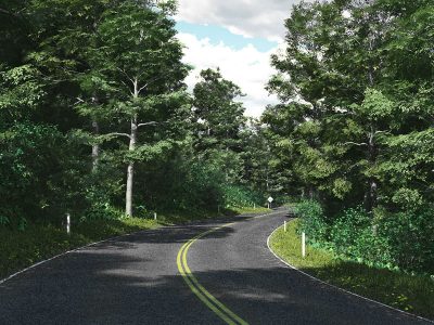 Forestview_Drive_by_HowieFarkes_Vue_105_0_img-1