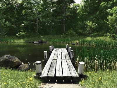 Secluded_Pond_by_HowieFarkes_Vue_105_0_img-1