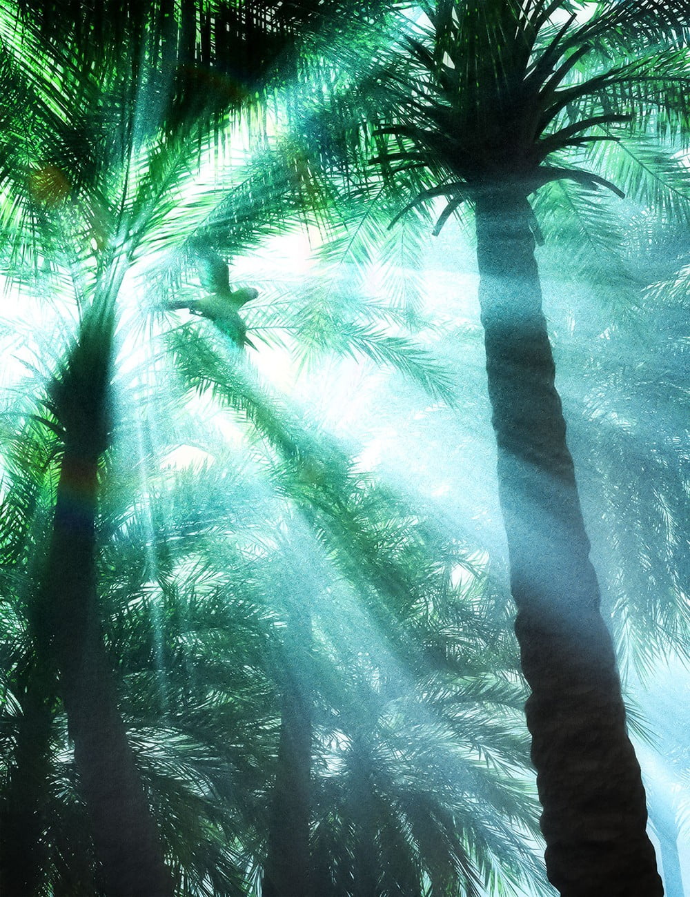 Tropical Palm Trees for Daz Studio