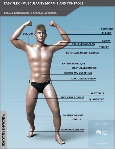 00-main-easy-flex-muscularity-morphs-for-genesis-8-males-and-merchant-resource-daz3d-1