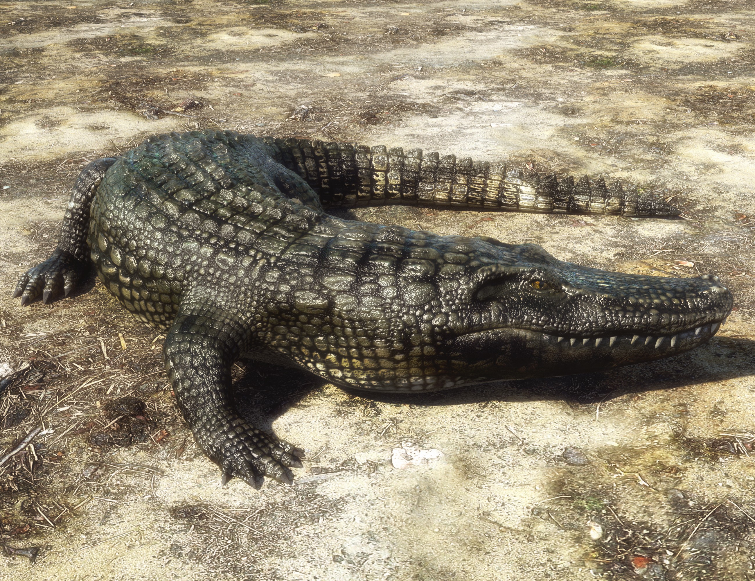 Iray Alligator by AM