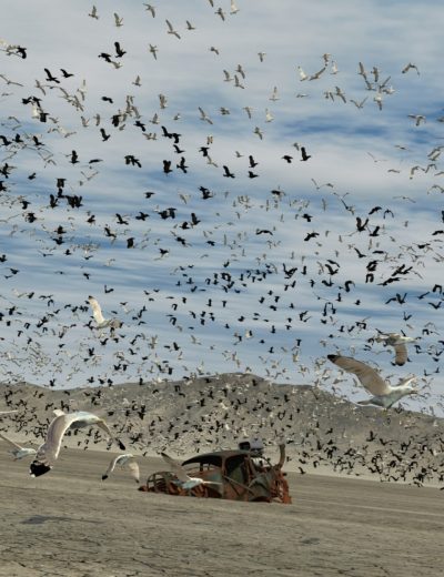 00-main-the-flock-gulls-and-crows-daz3d-1