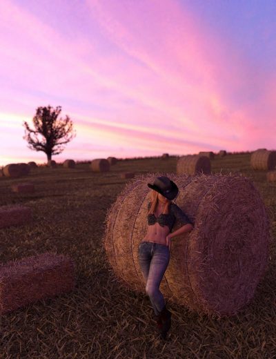 00-harvest-hay-bales-daz3d-1