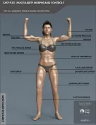 Easy Flex - Muscularity Morphs for Genesis 8 Female and Merchant Resource
