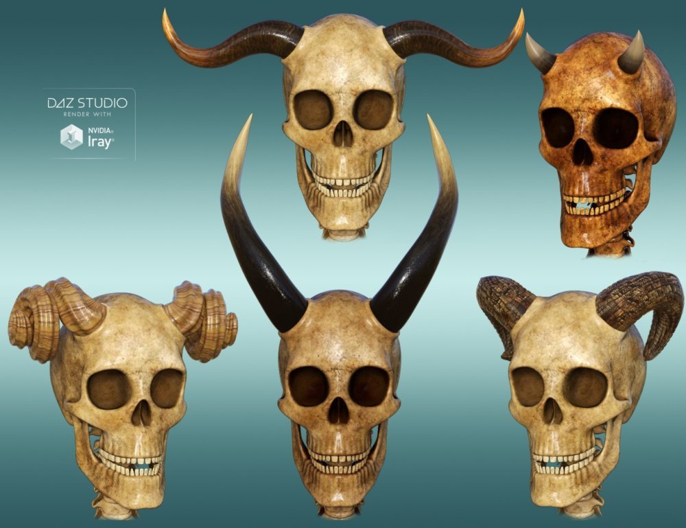 Midnight Skeleton Anatomy Pack