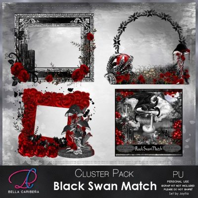 BC-BLACK-SWAN-MATCH-CF9-PRE-2