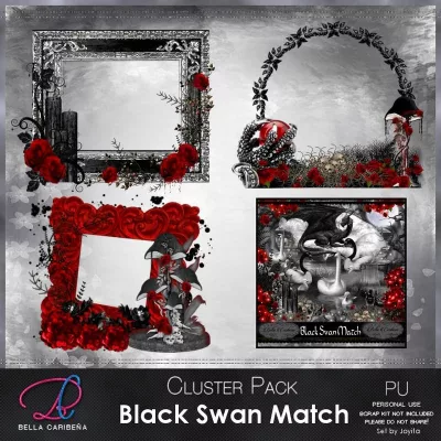 BC-BLACK-SWAN-MATCH-CF9-PRE