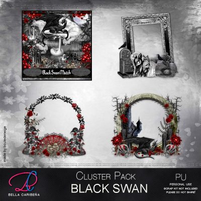 BC-BlackSwan-CF5-1