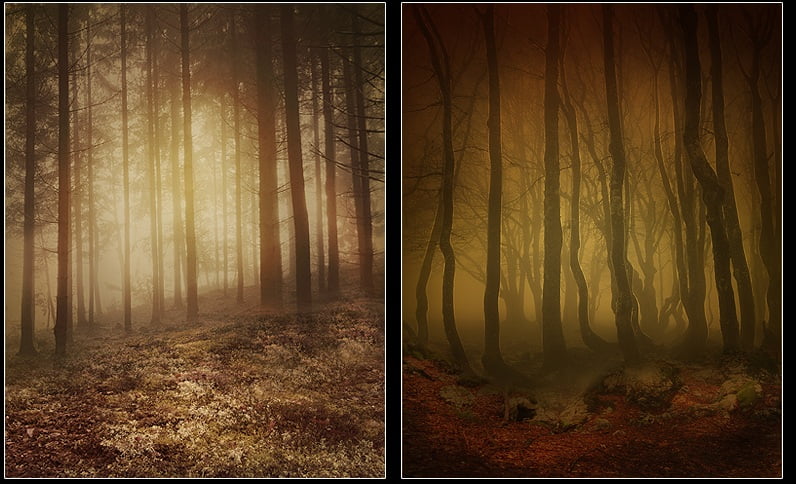 FS Deep Woods Backgrounds