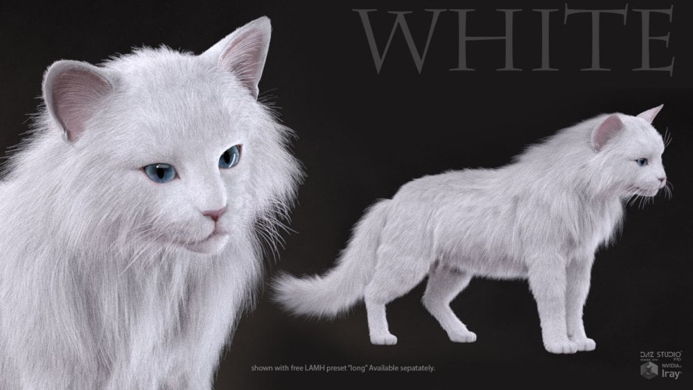 CWRW Black, White & Tuxedos for the HW House Cat