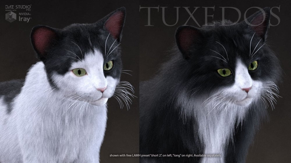 CWRW Black, White & Tuxedos for the HW House Cat