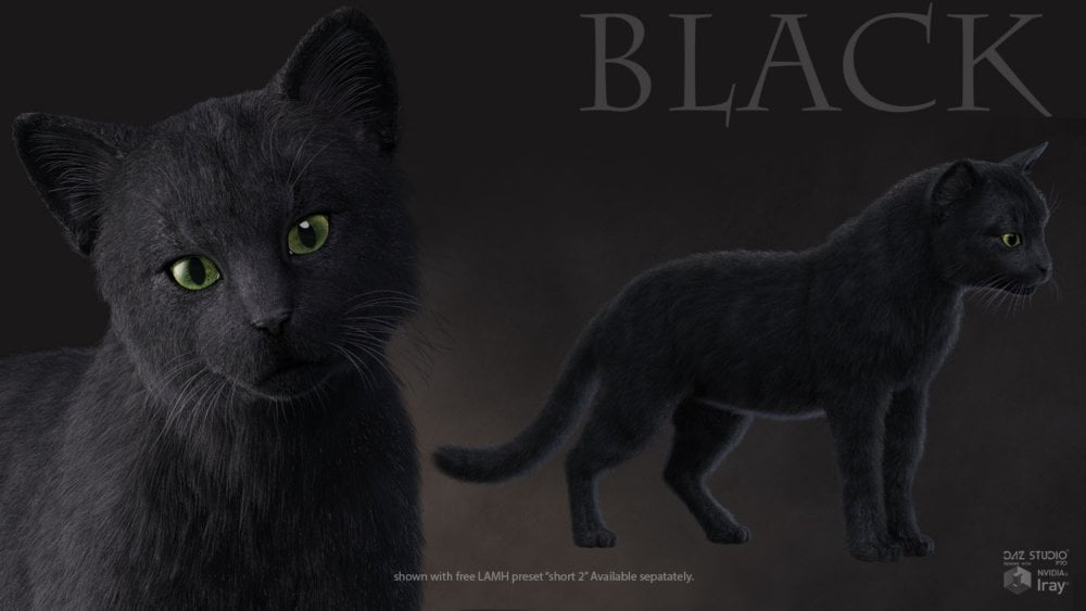 CWRW Black, White & Tuxedos for the HW House Cat