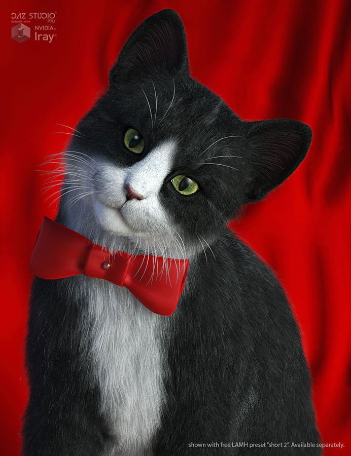 CWRW Black, White & Tuxedos for the HW House Cat