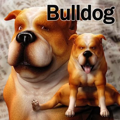 CL-Bulldog-For-Poser-8-Dog-1