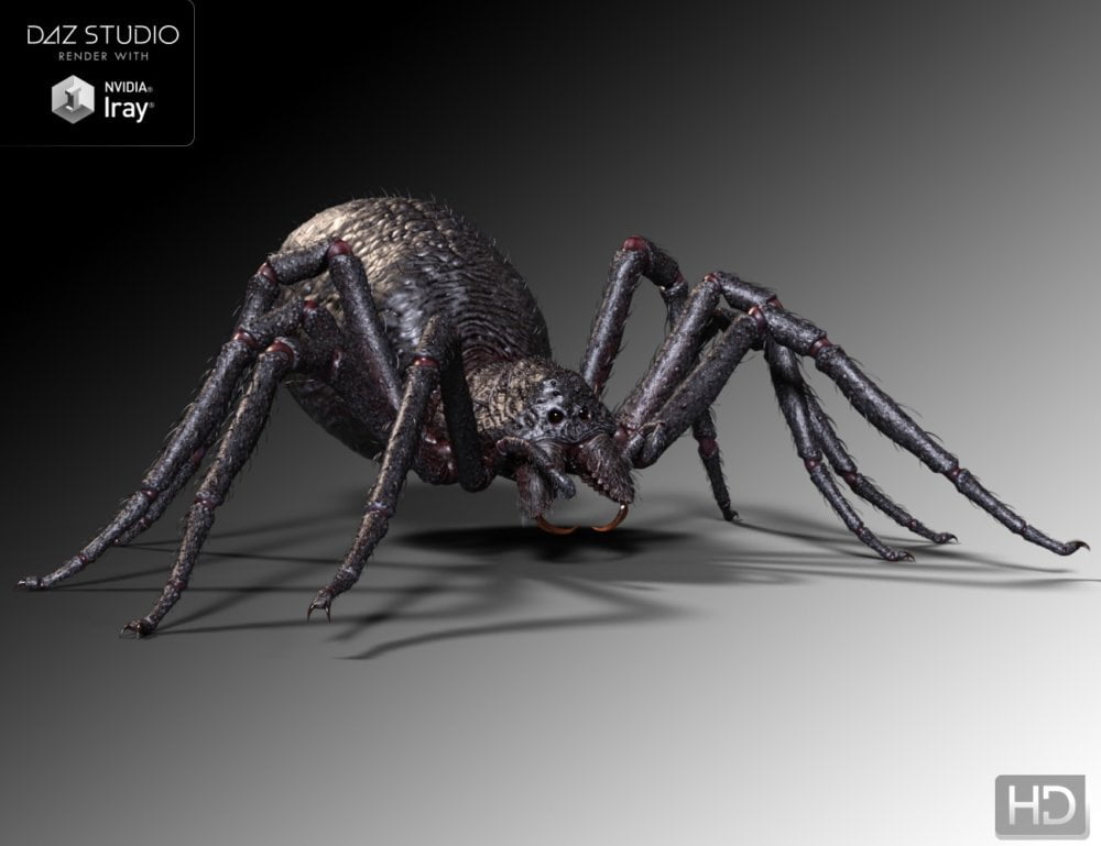 Giant Monster Spider HD