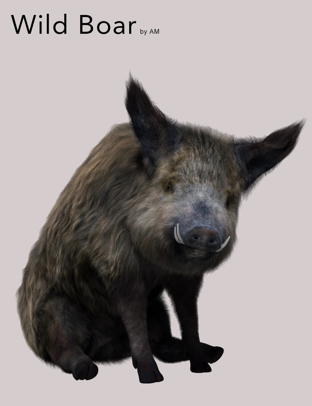 Wild Boar by AM