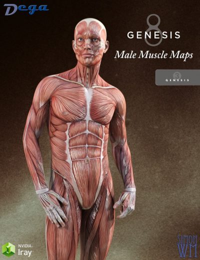 00-main-muscle-maps-for-genesis-3-and-8-males-daz3d_1-1