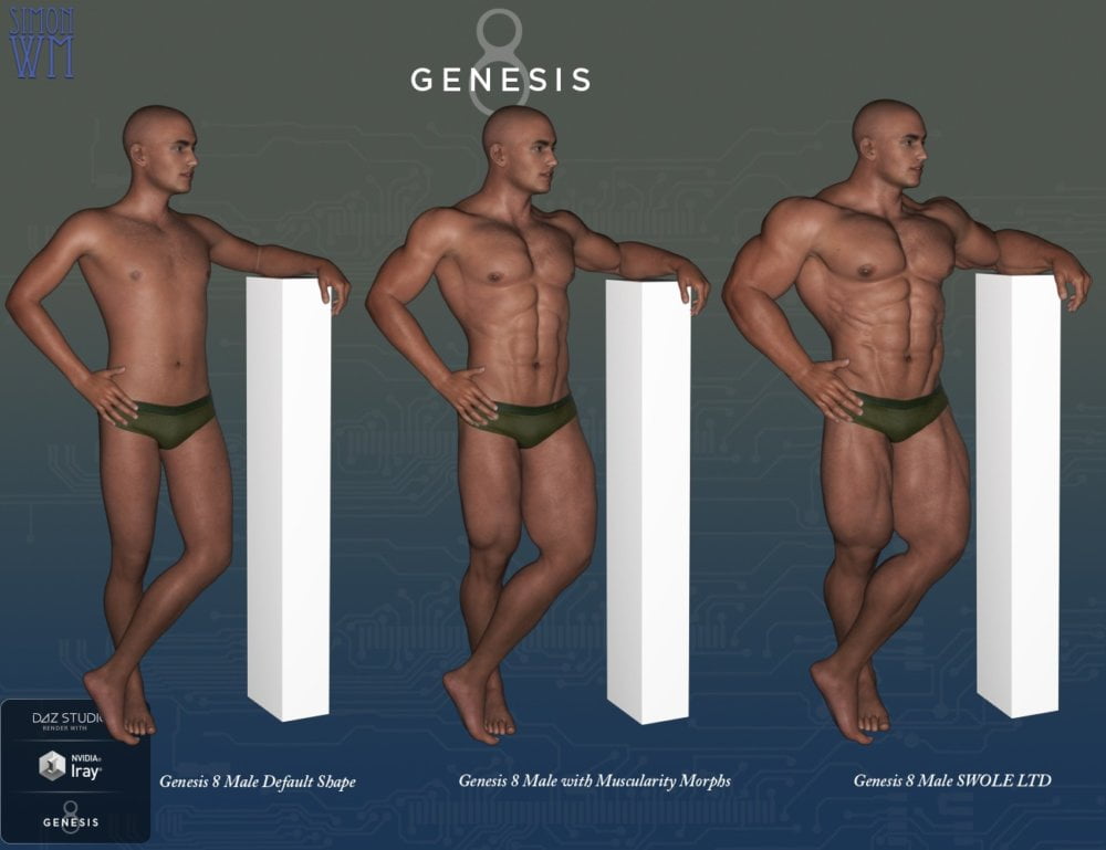 Muscularity Morphs for Genesis 8 Male