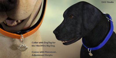 Full125341_7251202894bc1da5ff077538e4d67d6a-1