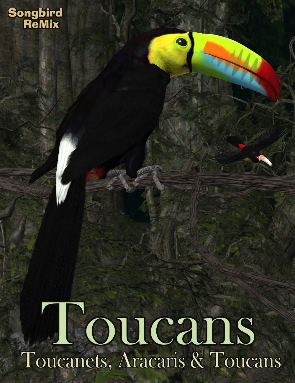 SBRM Toucans