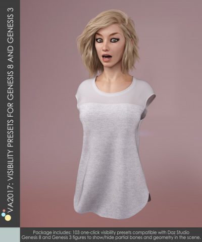 VA2017_VisibilityPresets-2