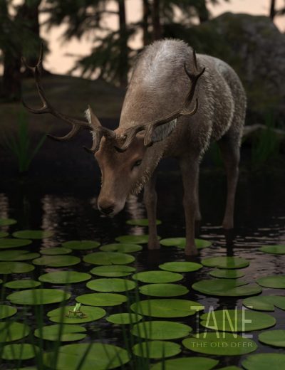 00-main-tane-the-old-deer-daz3d_1-2