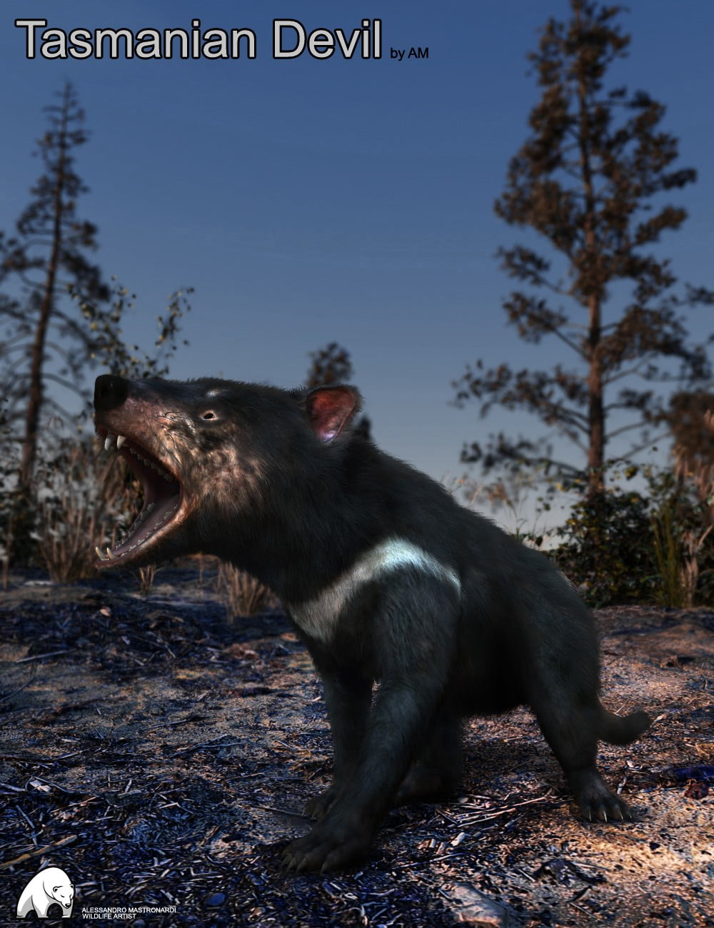 Tasmanian Devil by AM