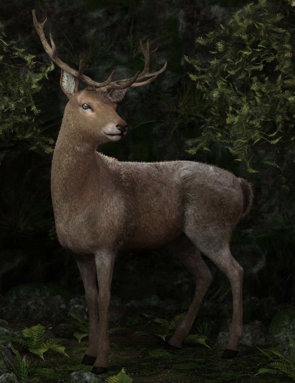 Tane The Old Deer for Daz Horse 2