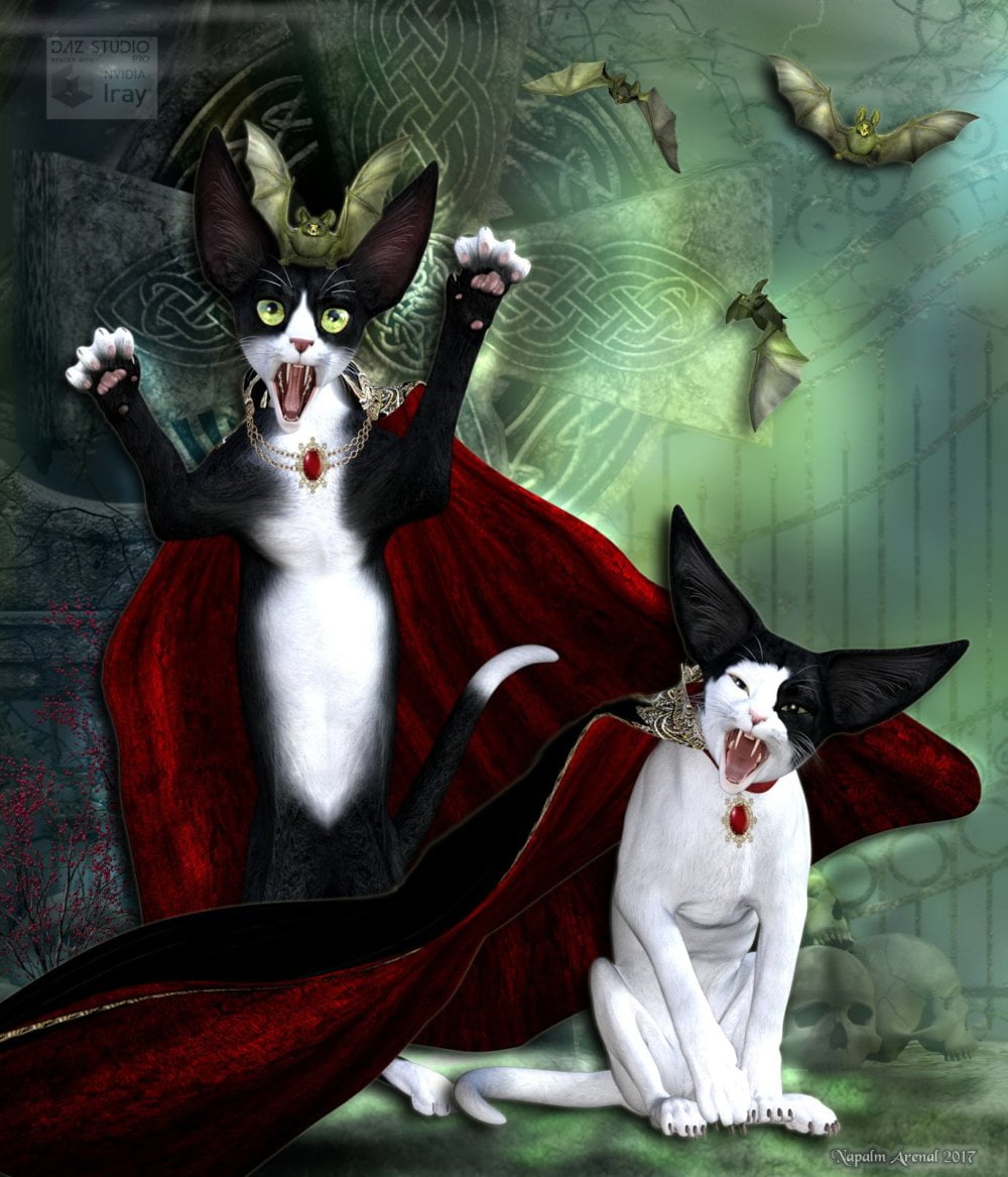 Catula for the HiveWire House Cat