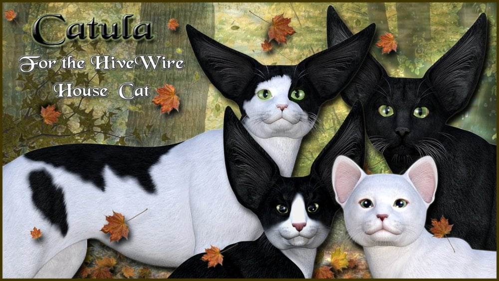 Catula for the HiveWire House Cat