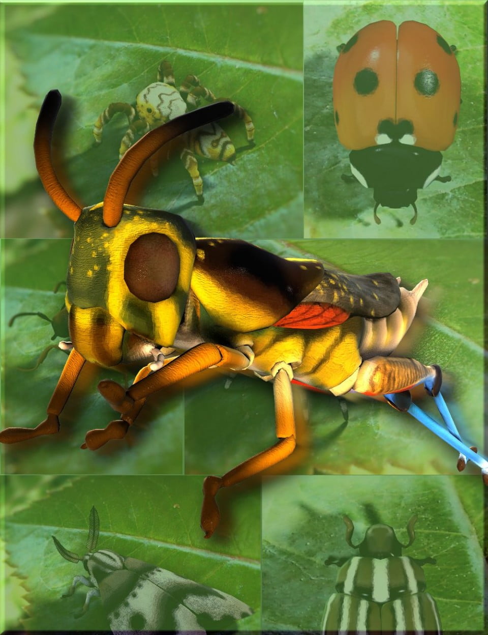 The Creeper Collection