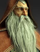 Wise Wizard HD Character for Genesis 8 Male