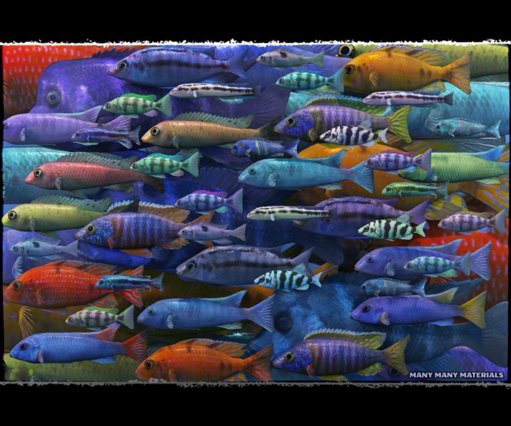 3D Underwater Fauna: African Cichlids