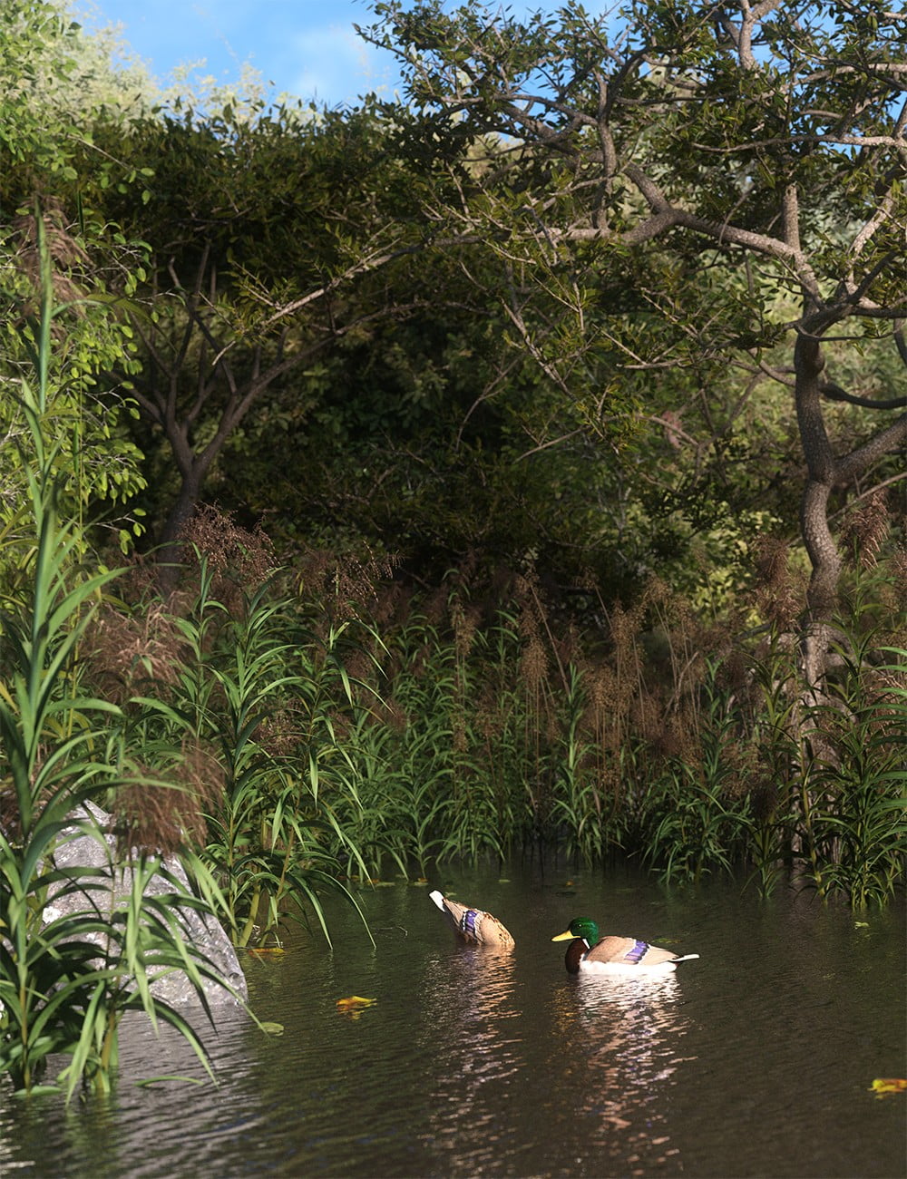 Reed Plants for Daz Studio and Iray