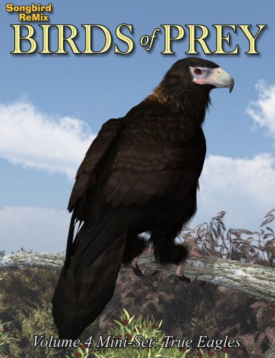 10788-sbrm-bop-vol-4-mini-set-true-eagles-main-1