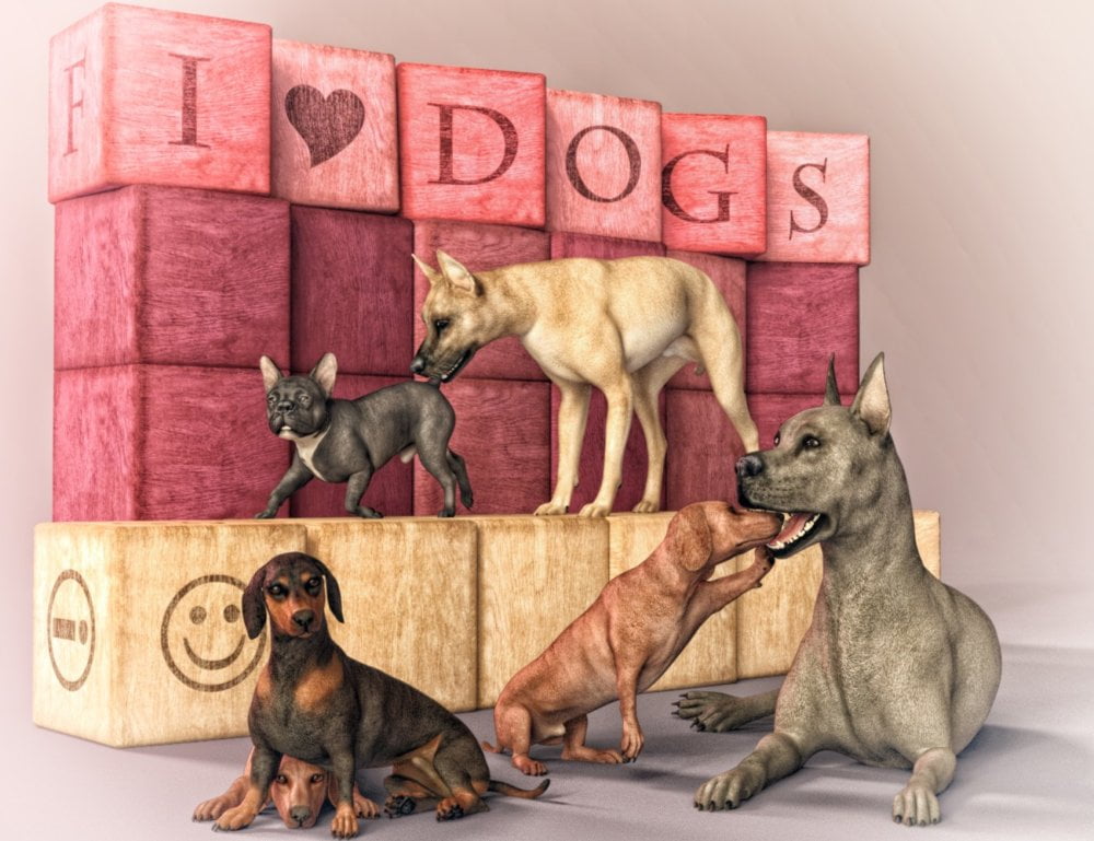 Comical Canine Poses for Daz Dog(s) 8