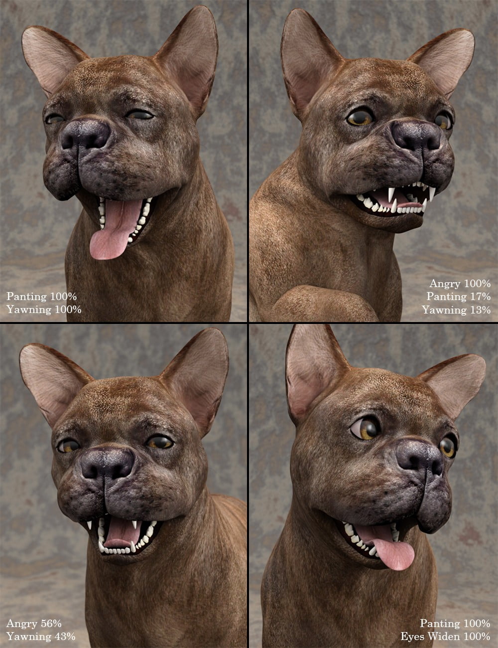 French Bulldog for Daz Dog 8