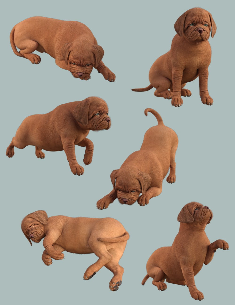 Benji The Puppy Props and Poses