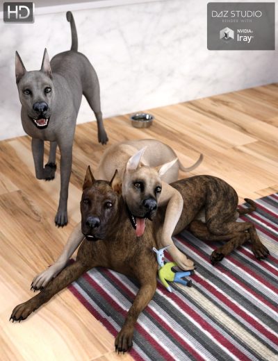 daz_dog_8_dane_main-2