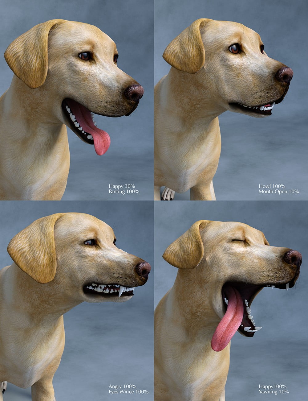 Labrador for Daz Dog 8