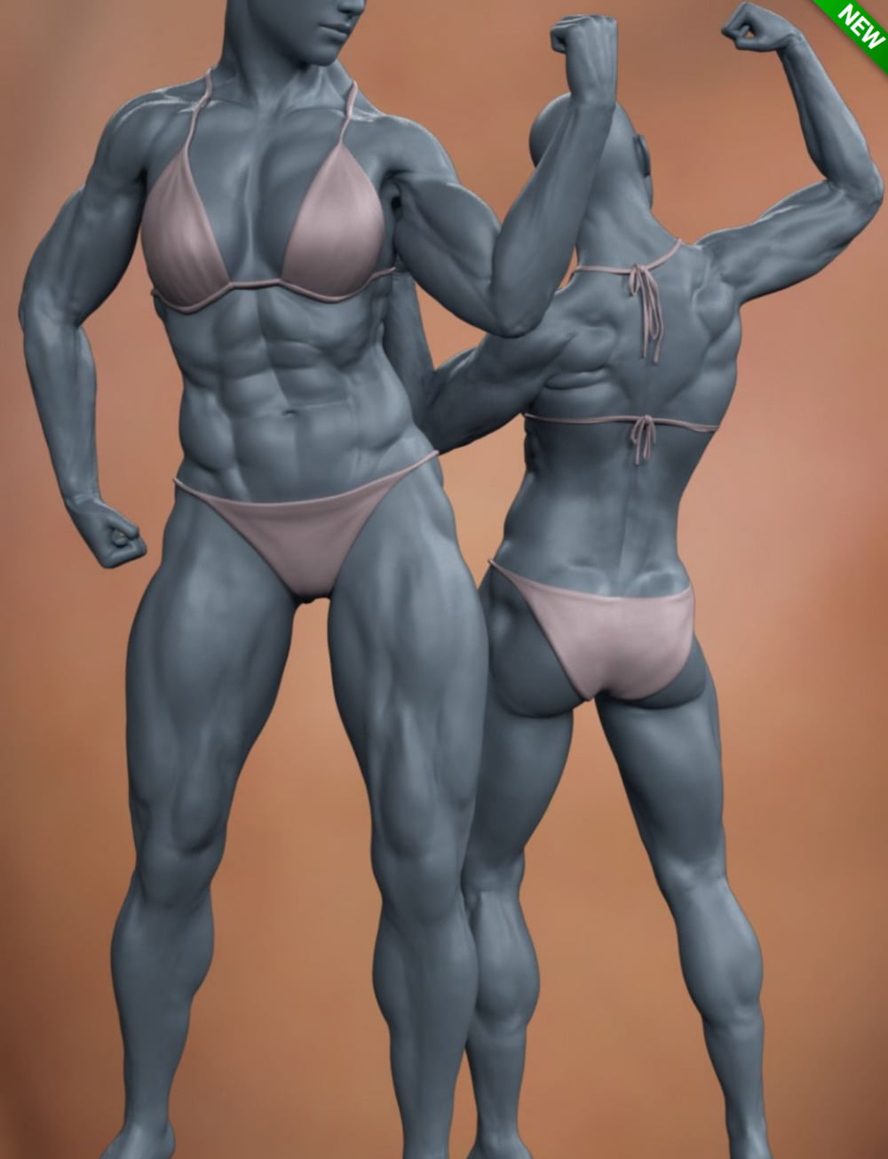 Musculature HD Morphs for Genesis 8 Female