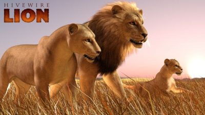 11926-hivewire-lion-family-main-2