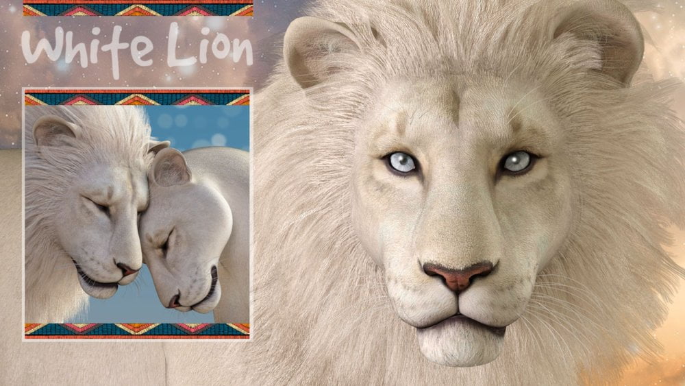 CWRW White Lion for the HiveWire Lion Family