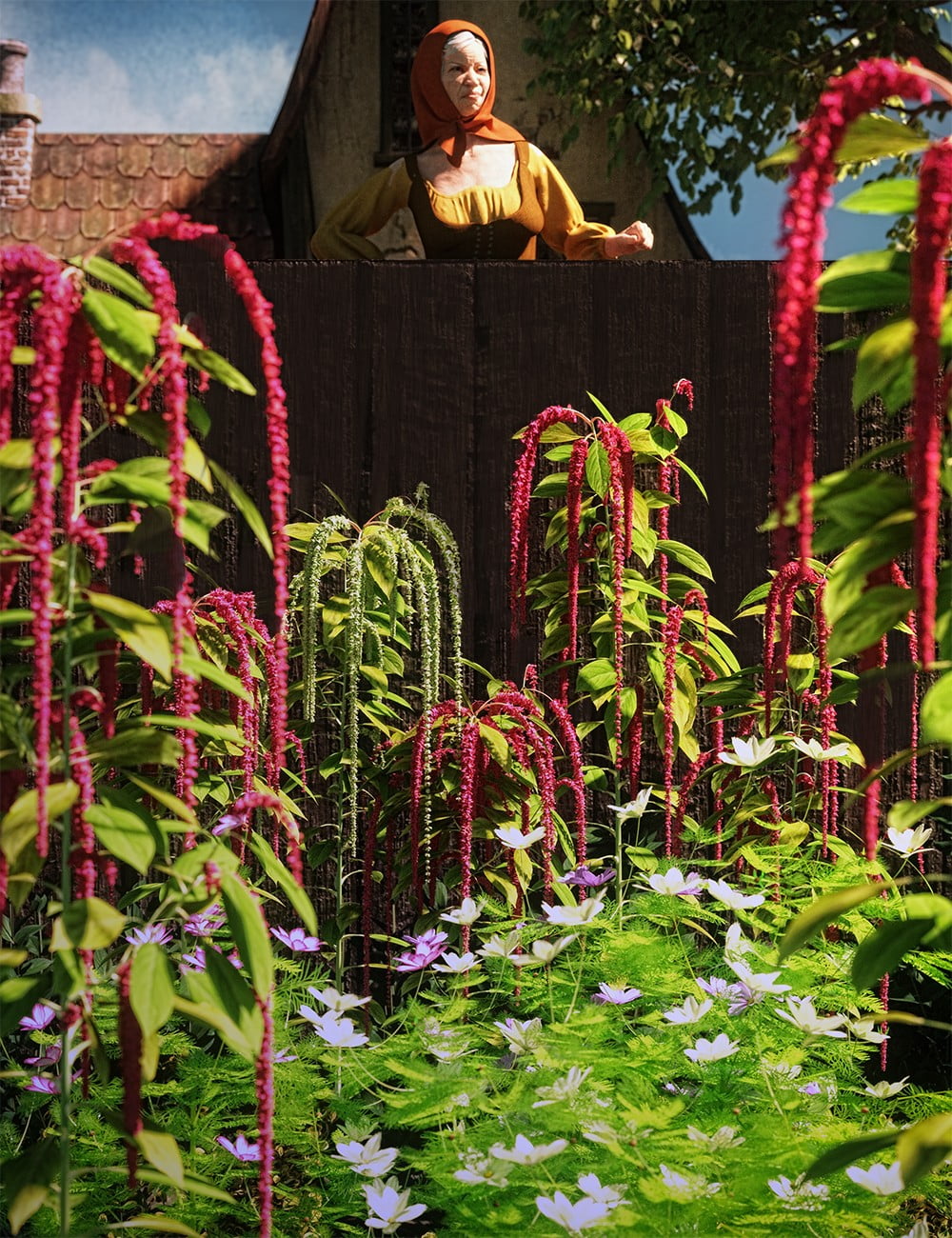 Decorative Plants and Flowers