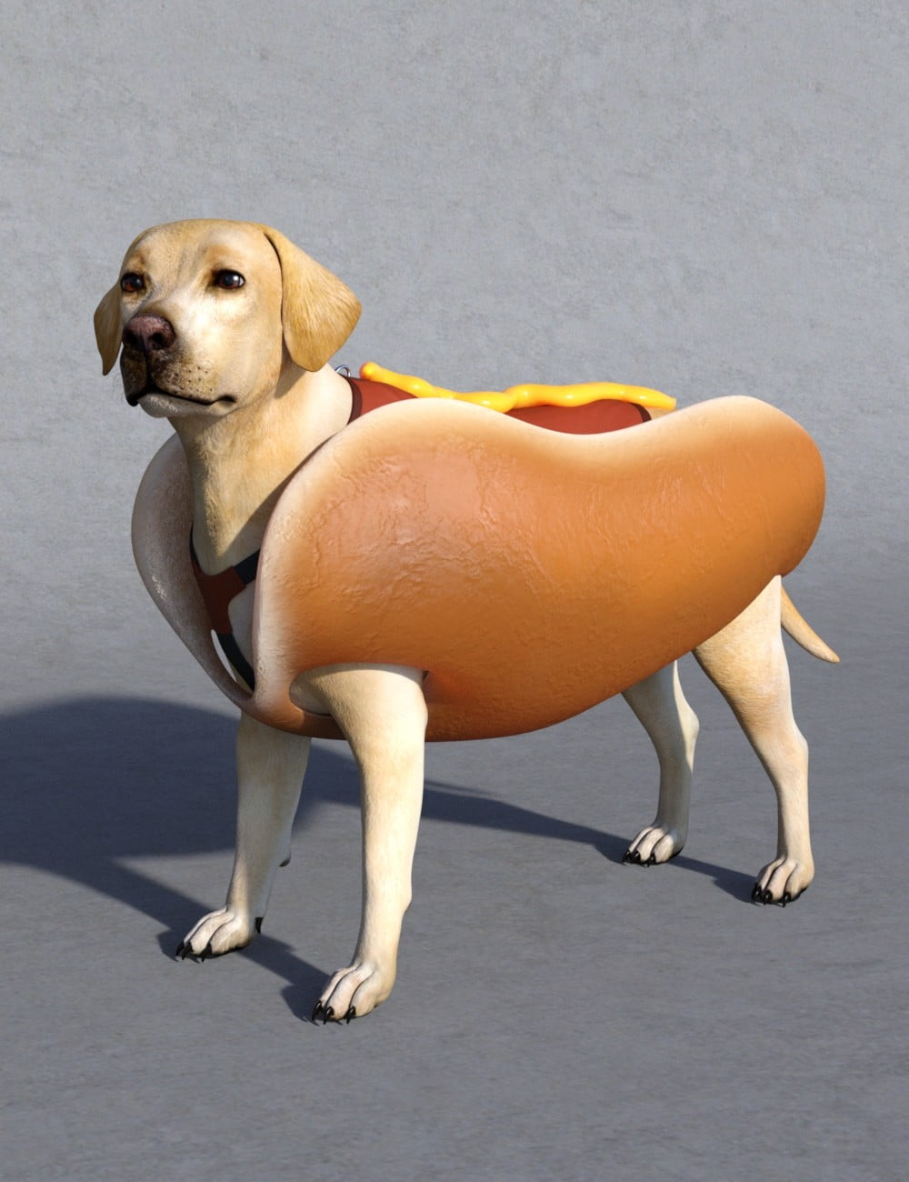 Hot Dog Costume for Daz Dog 8