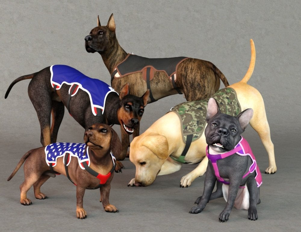 Hot Dog Costume for Daz Dog 8