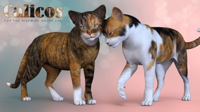 11929-cwrw-calicos-for-the-hw-house-cat-main-2