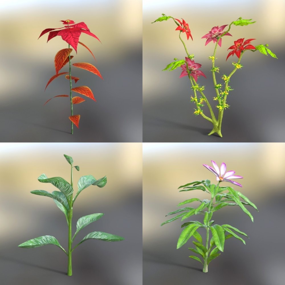 Variety of Beautiful Plants Vol 2