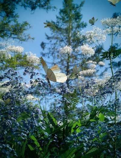 00-main-woodland-wild-flower-plants-for-daz-studio-daz3d-2
