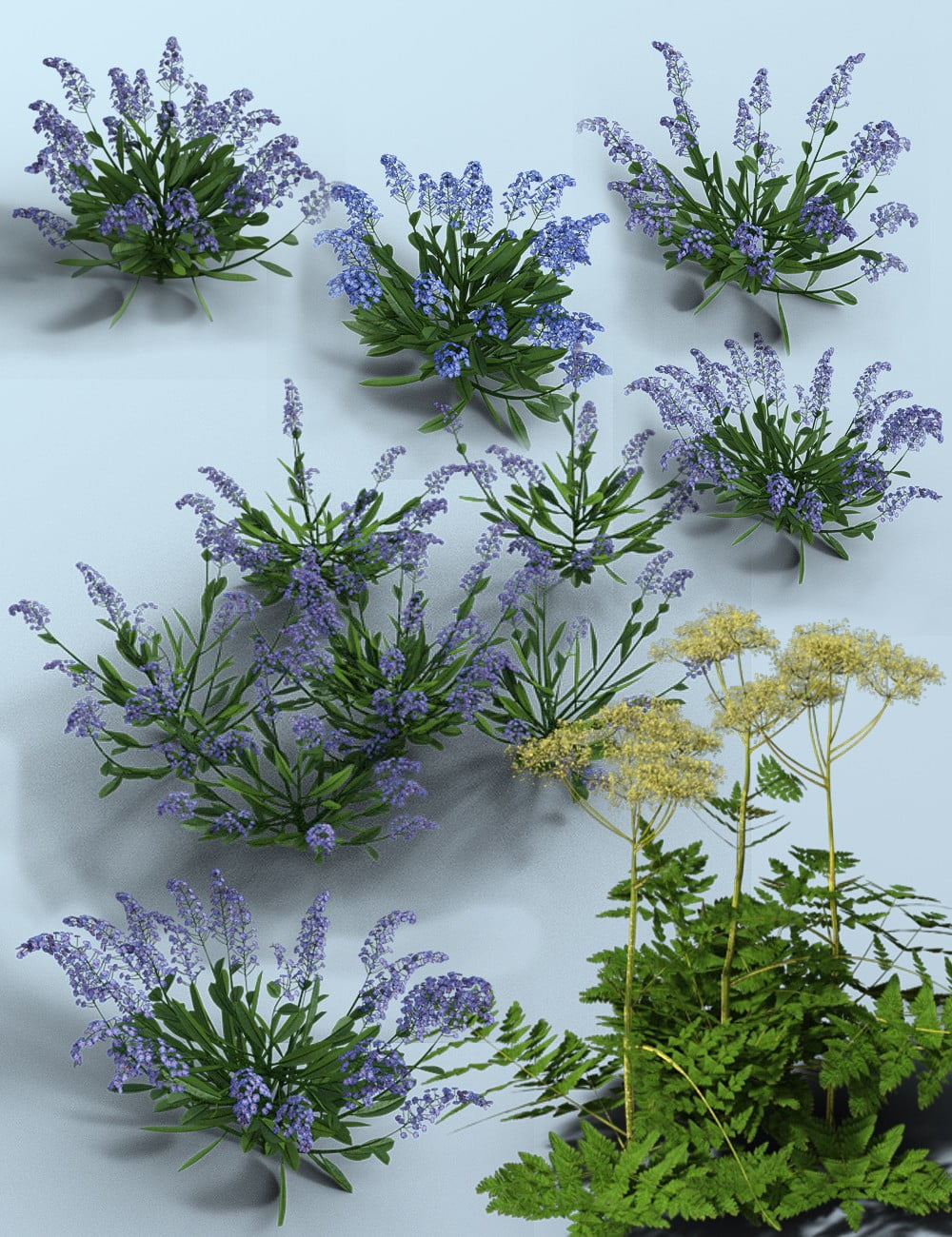 Woodland Wild Flower Plants for Daz Studio